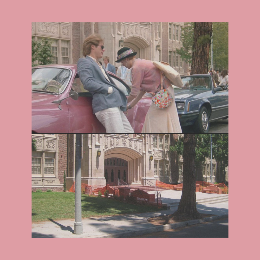 The Andie Collection by Veronique