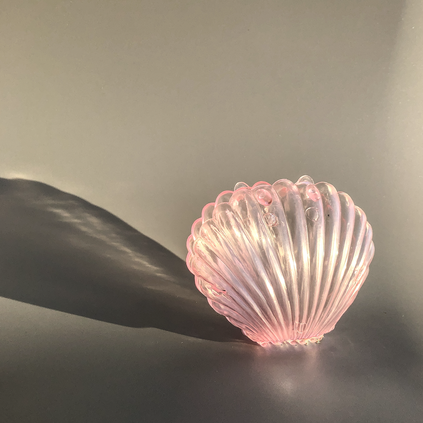 Shell Jewelry Case by Veronique