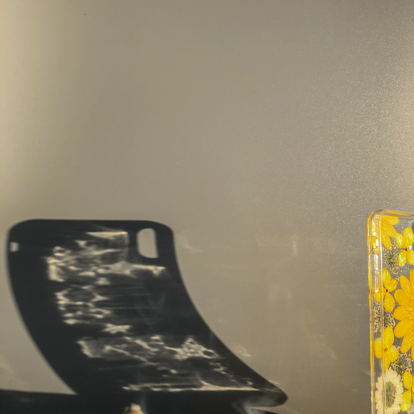 Pressed WildFlower Phone Case (iPhone X/XS) by Veronique