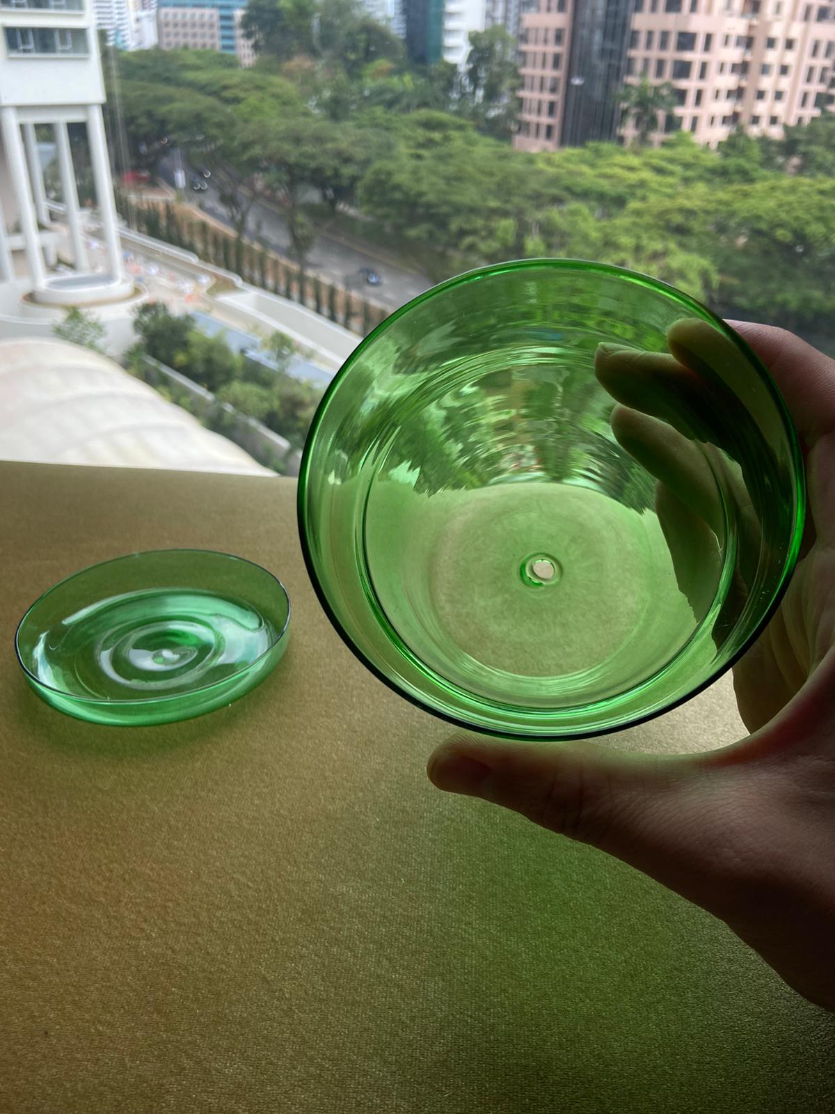 Sunbeam Glass Planter by PROSE Botanical