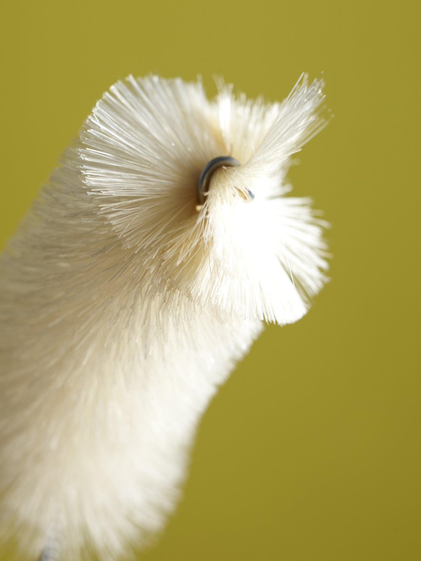 Soda Bottle Brush - Emporium of the Modern Man
- 2