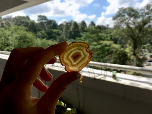 Agate Slice #3 by Vivian Lam