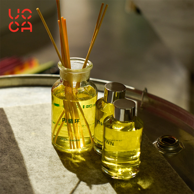 STE Reed Diffuser Set by UCCA X Cao Fei