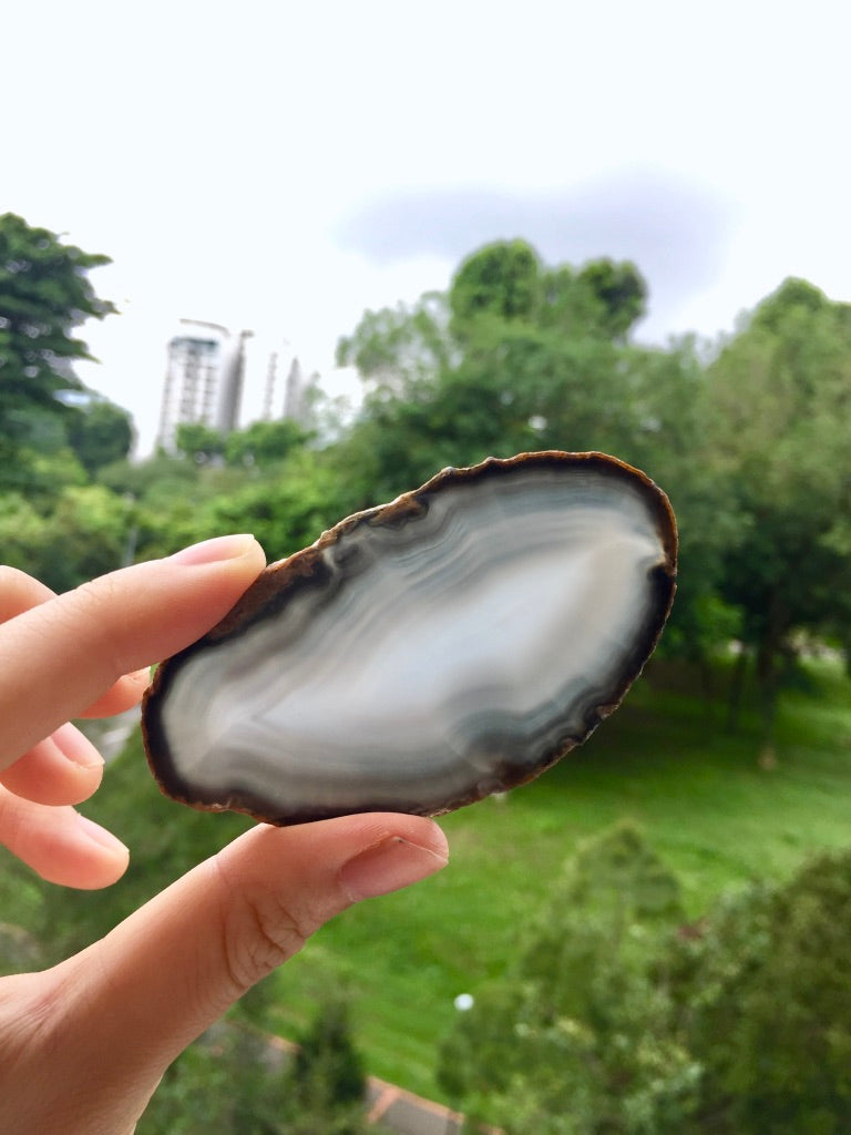 Agate Slice #38 by Vivian Lam