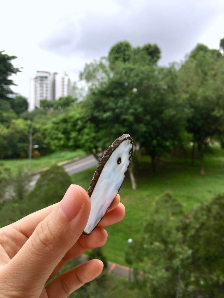 Agate Slice #38 by Vivian Lam