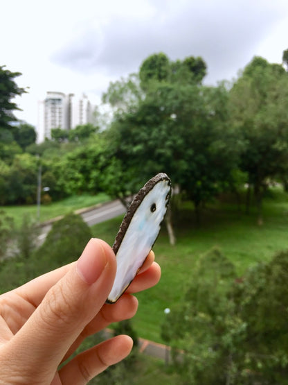 Agate Slice #38 by Vivian Lam