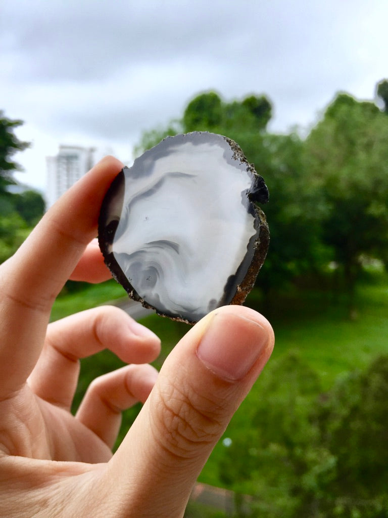 Agate Slice #44  by Vivian Lam