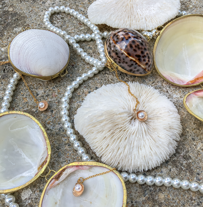 Mushroom Corals and Seashells by PROSE Décor