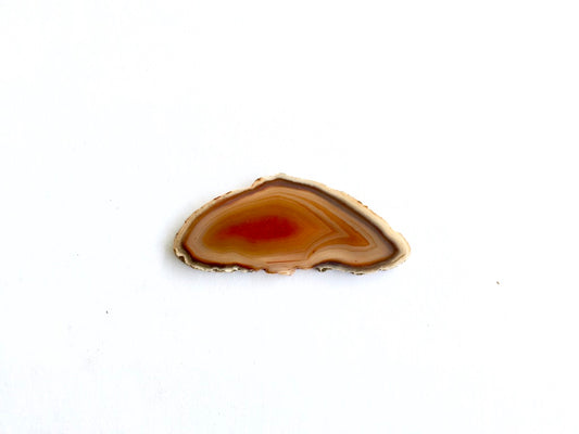 Agate Slice #13 by Vivian Lam