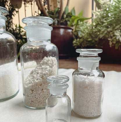 Glass Apothecary Jars by PROSE Décor