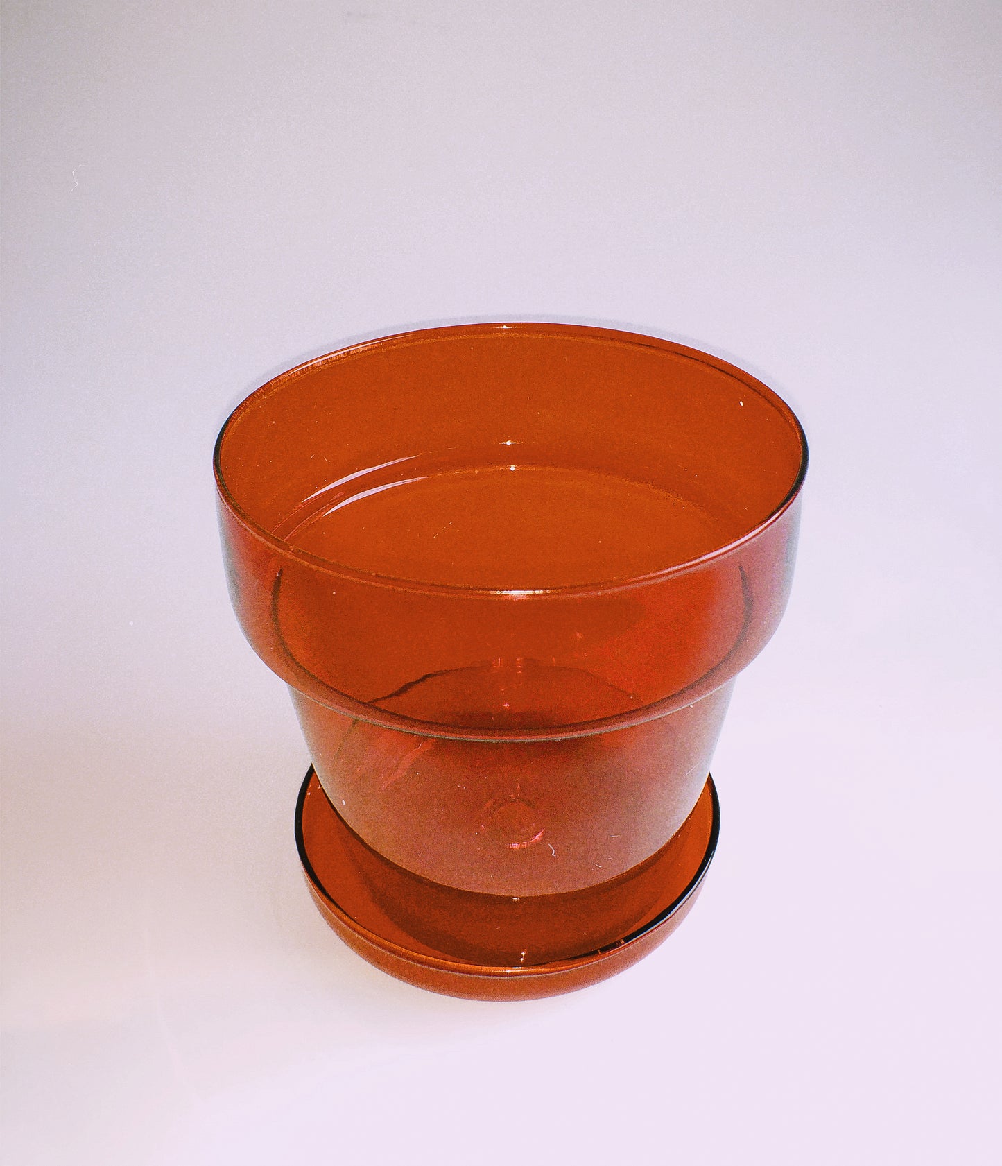 Ruby Red Glass Planter by PROSE Botanical