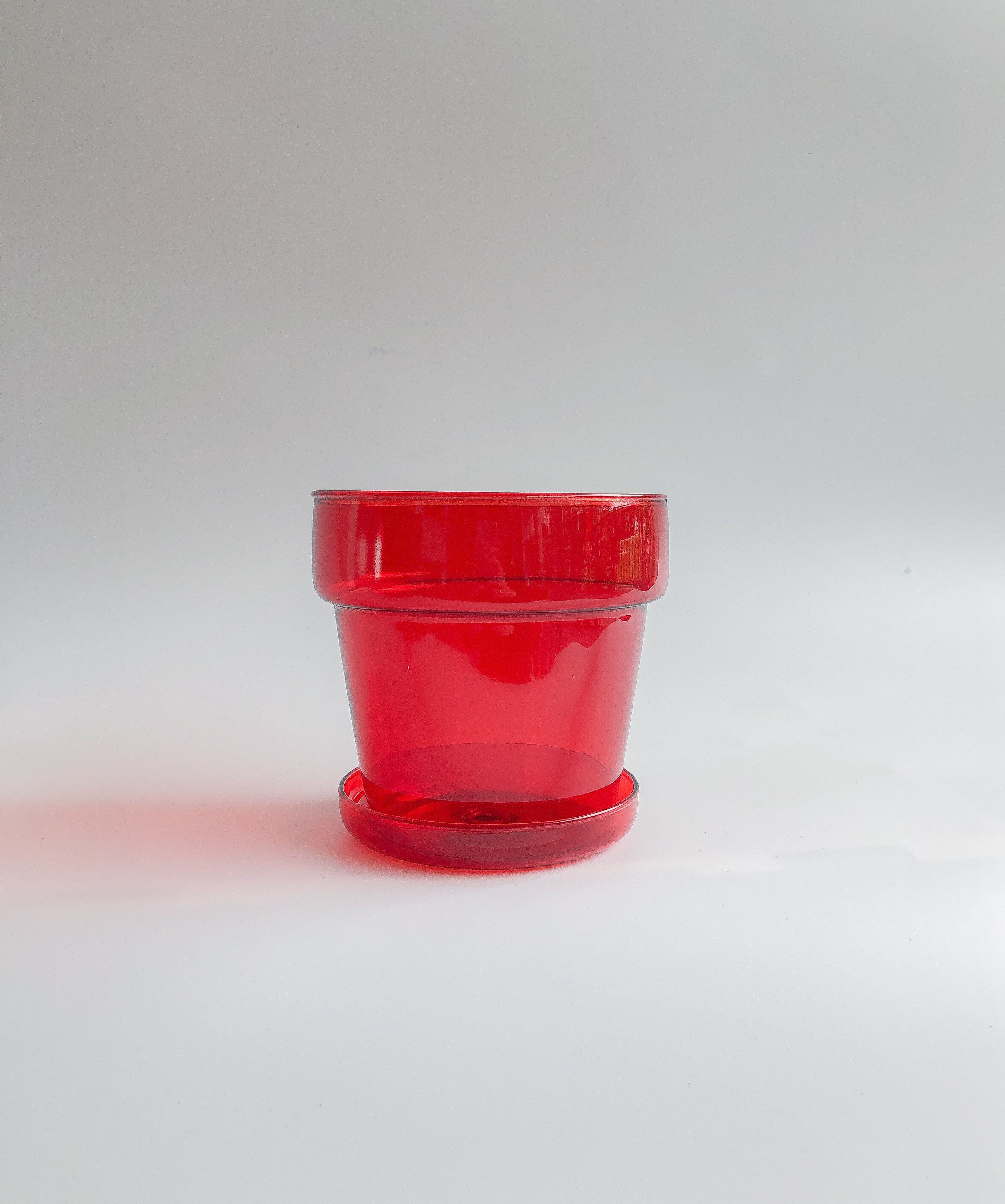 Ruby Red Glass Planter by PROSE Botanical