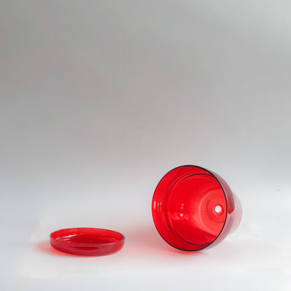 Ruby Red Glass Planter by PROSE Botanical