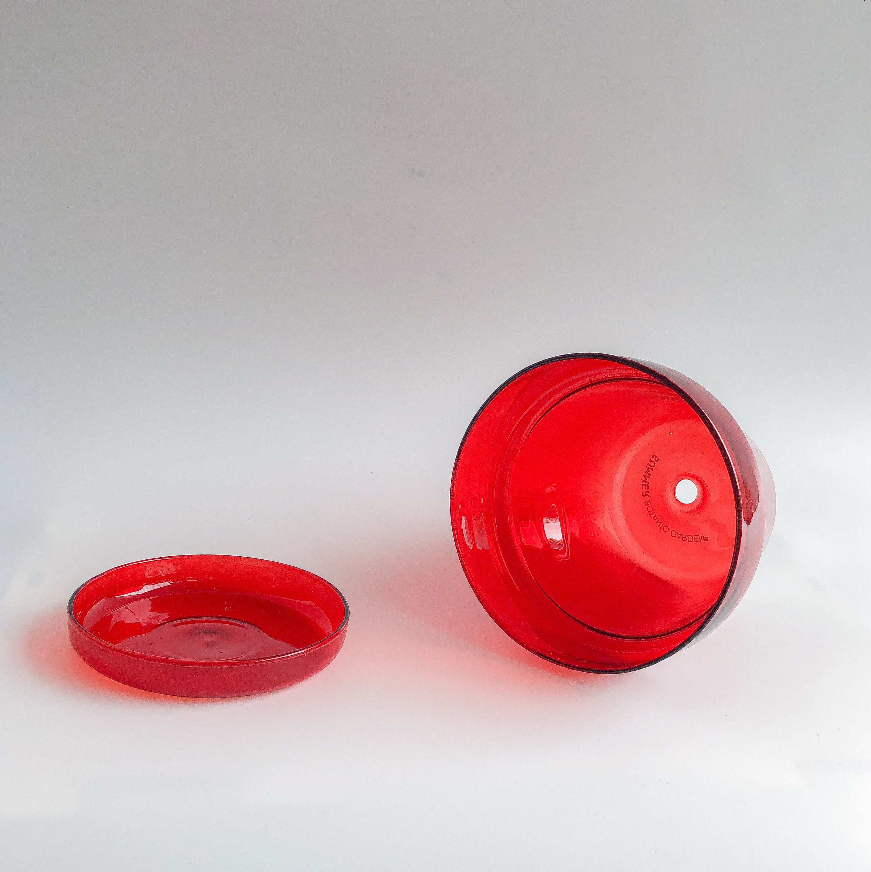 Ruby Red Glass Planter by PROSE Botanical