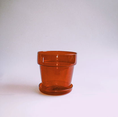 Ruby Red Glass Planter by PROSE Botanical