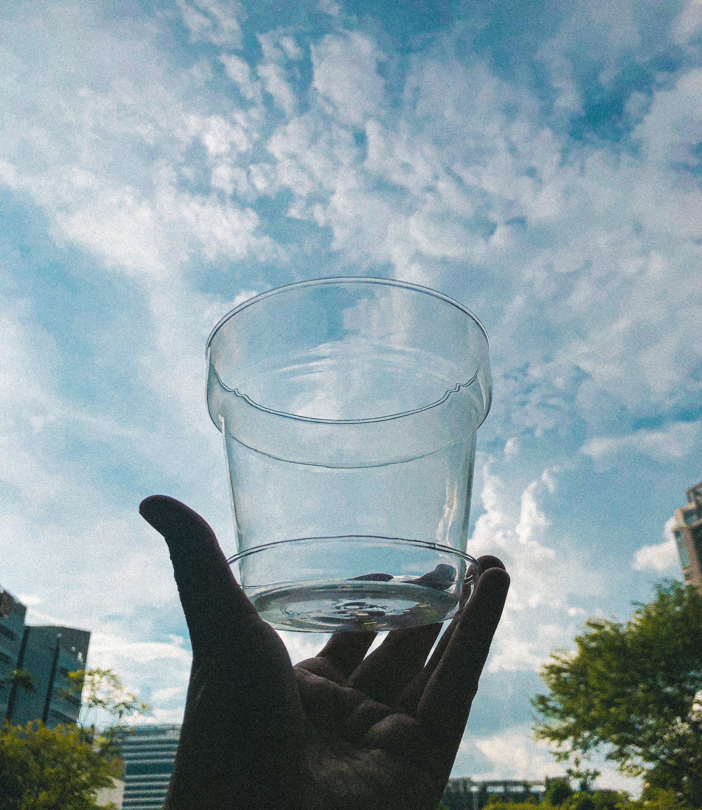 Clear Glass Planter by PROSE Botanical