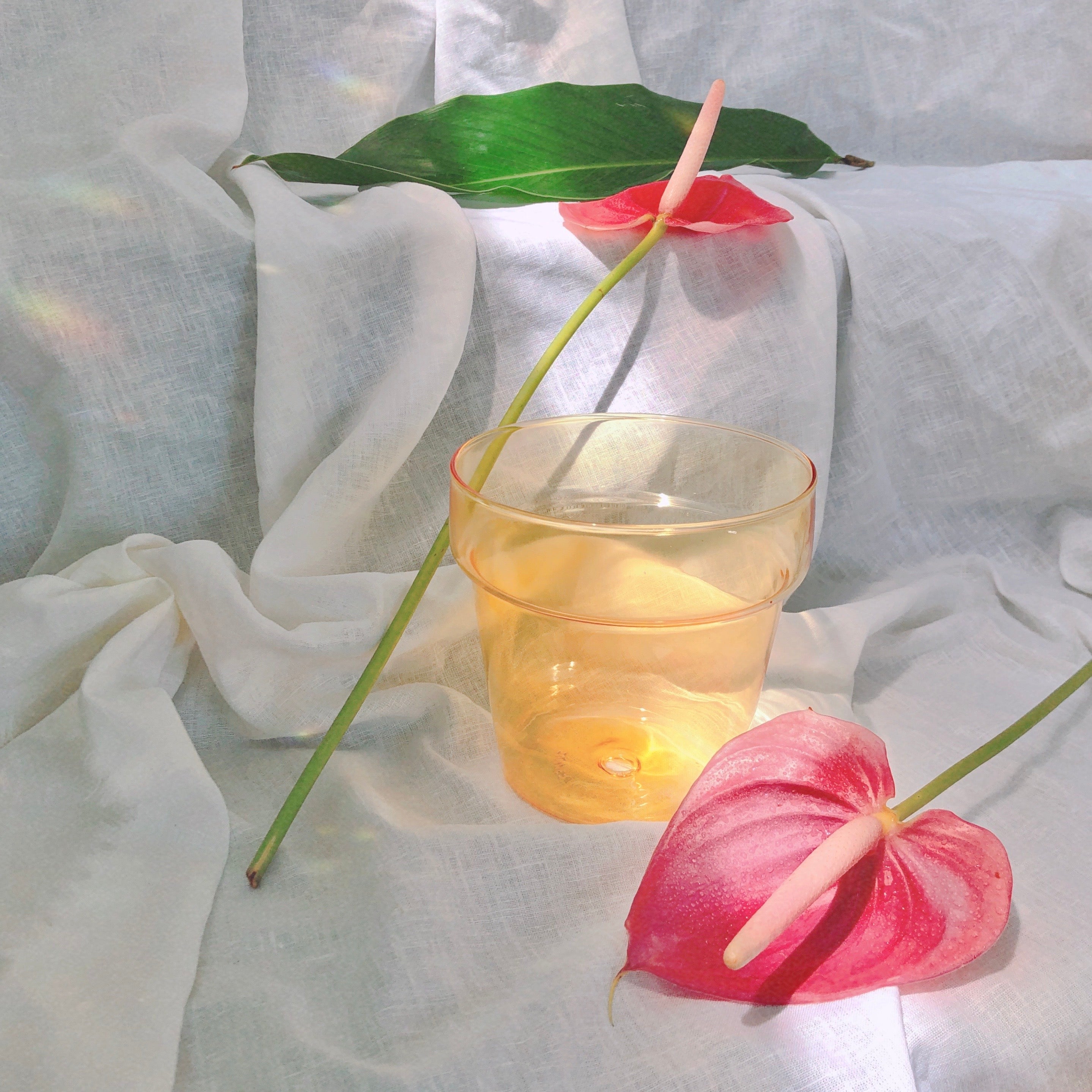Sunbeam Glass Planter by PROSE Botanical