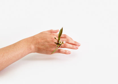 Ikebana Ring