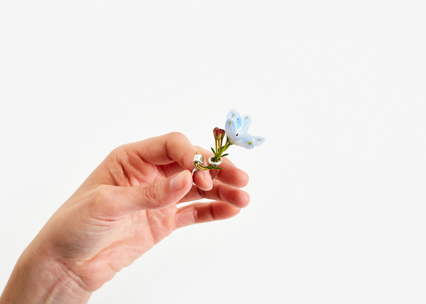 Ikebana Ring