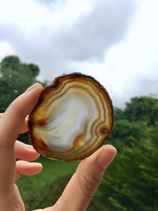 Agate Slice #24 by Vivian Lam