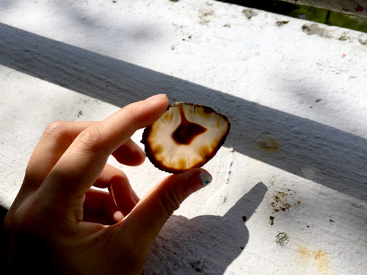 Agate Slice #4 by Vivian Lam