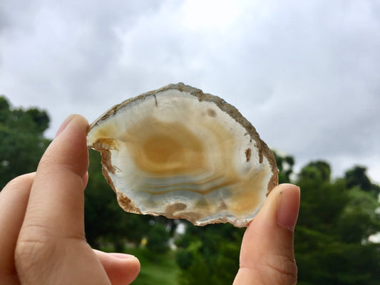Agate Slice #35 by Vivian Lam