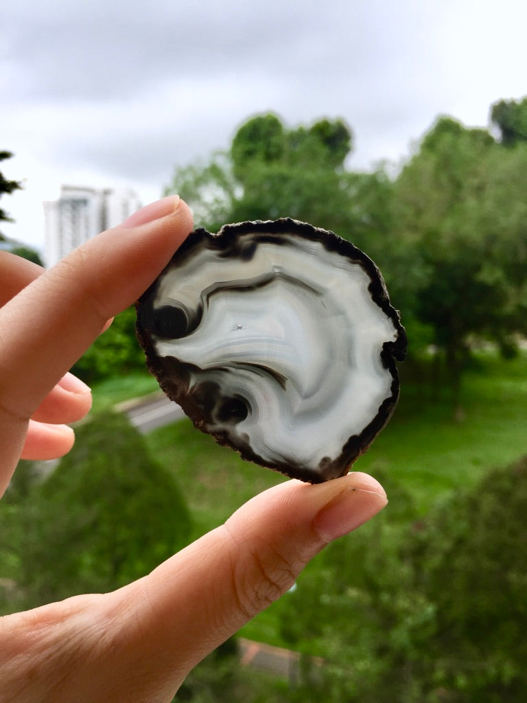 Agate Slice #44  by Vivian Lam