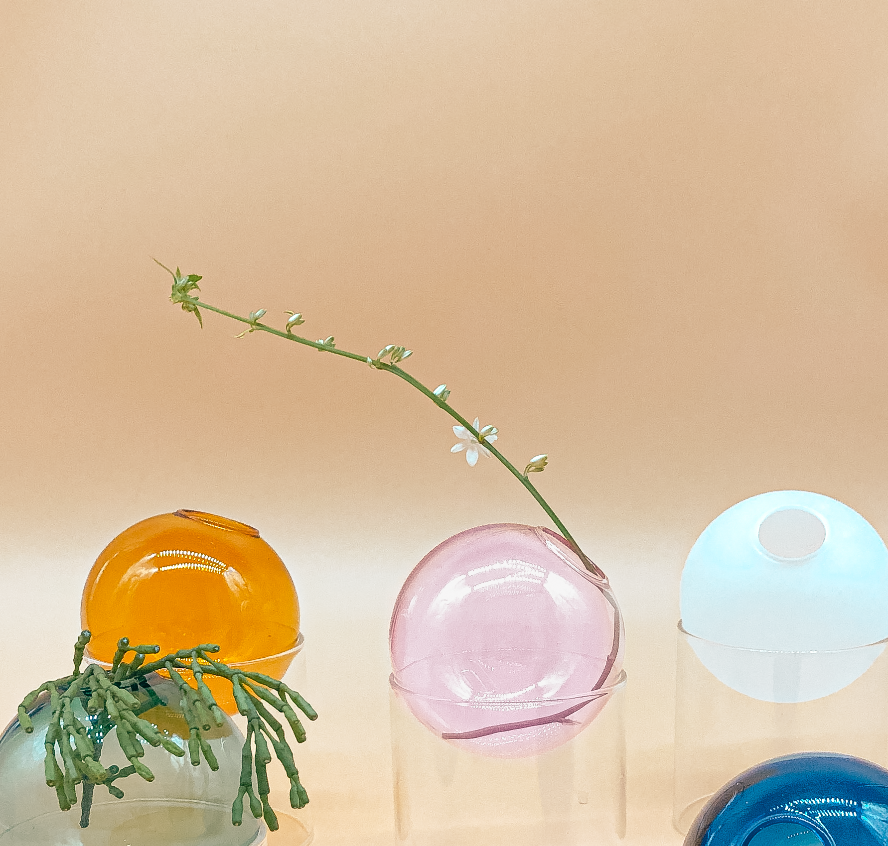Fishbowl Mini Vase in White by PROSE Botanical