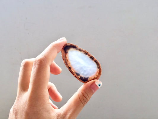 Agate Slice #8 by Vivian Lam