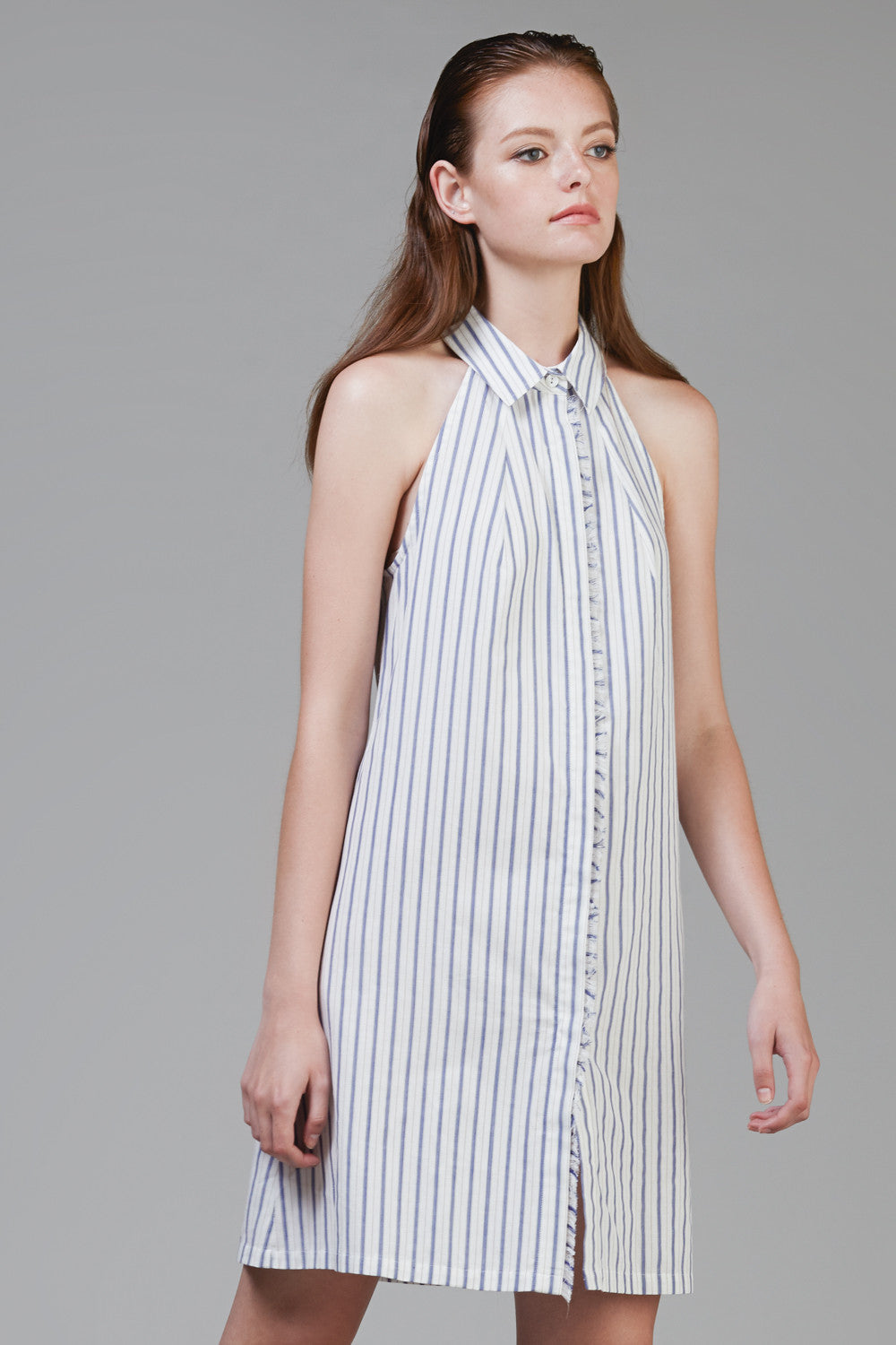 Sleeveless Pinstripe Shirtdress #45 - Emporium of the Modern Man
 - 1