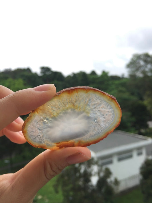 Agate Slice #32 by Vivian Lam