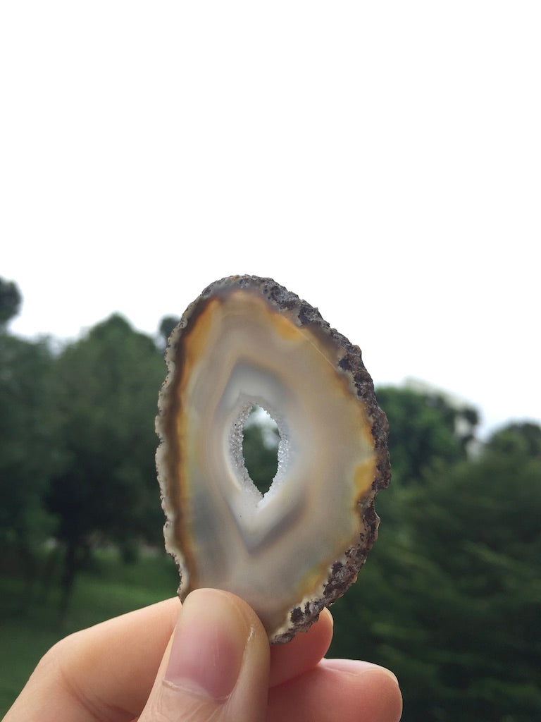 Agate Slice #18.5 by Vivian Lam