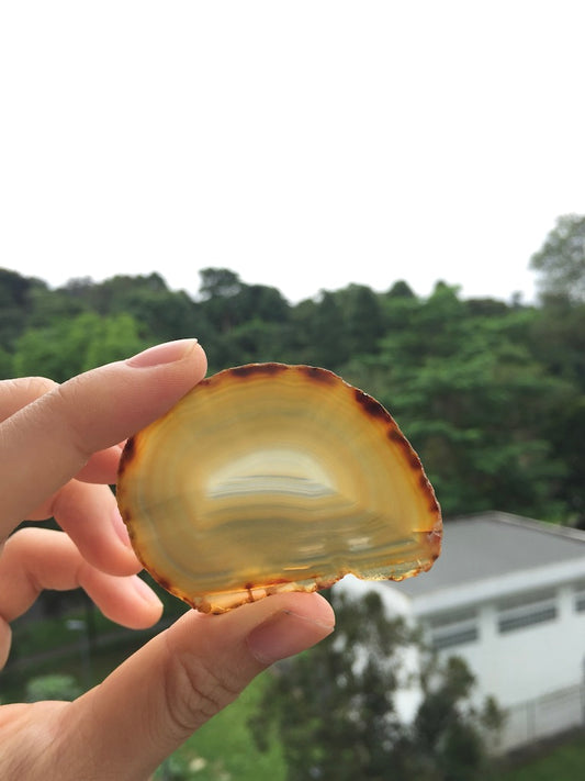 Agate Slice #33 by Vivian Lam