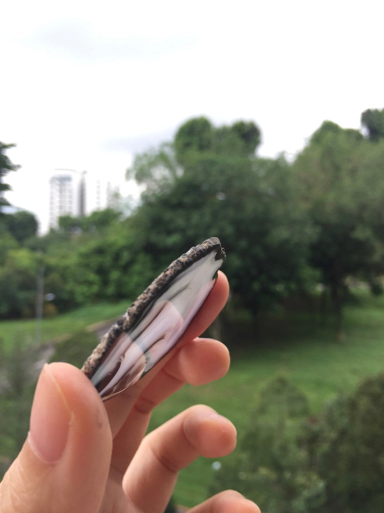Agate Slice #44  by Vivian Lam