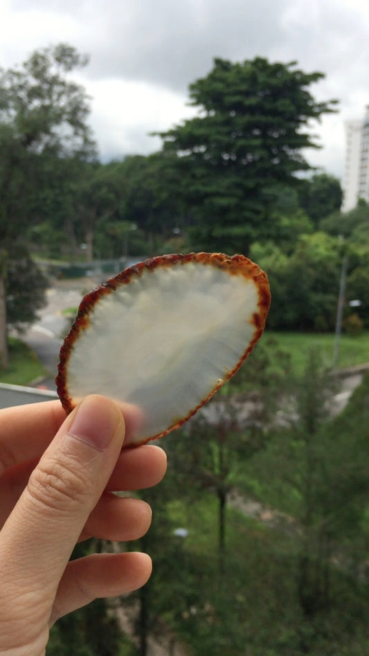 Agate Slice #36 by Vivian Lam