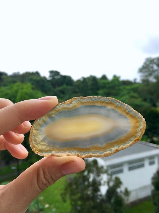 Agate Slice #31 by Vivian Lam