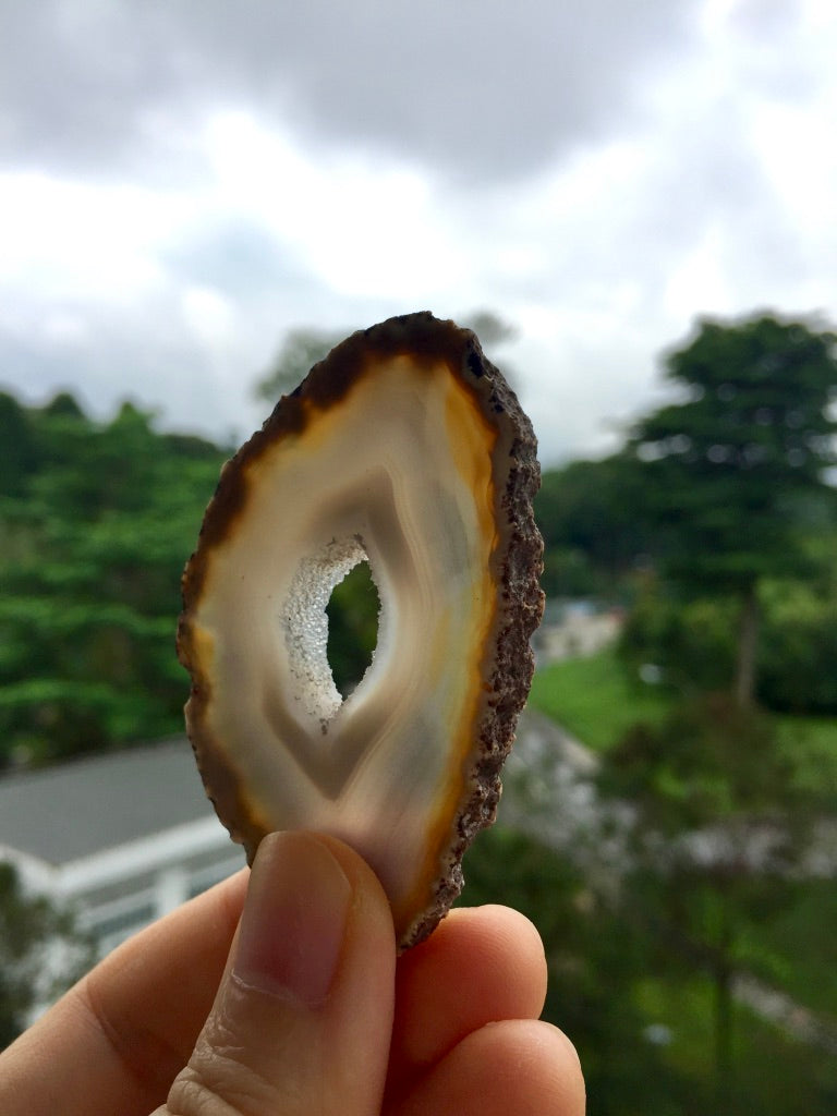 Agate Slice #18.5 by Vivian Lam