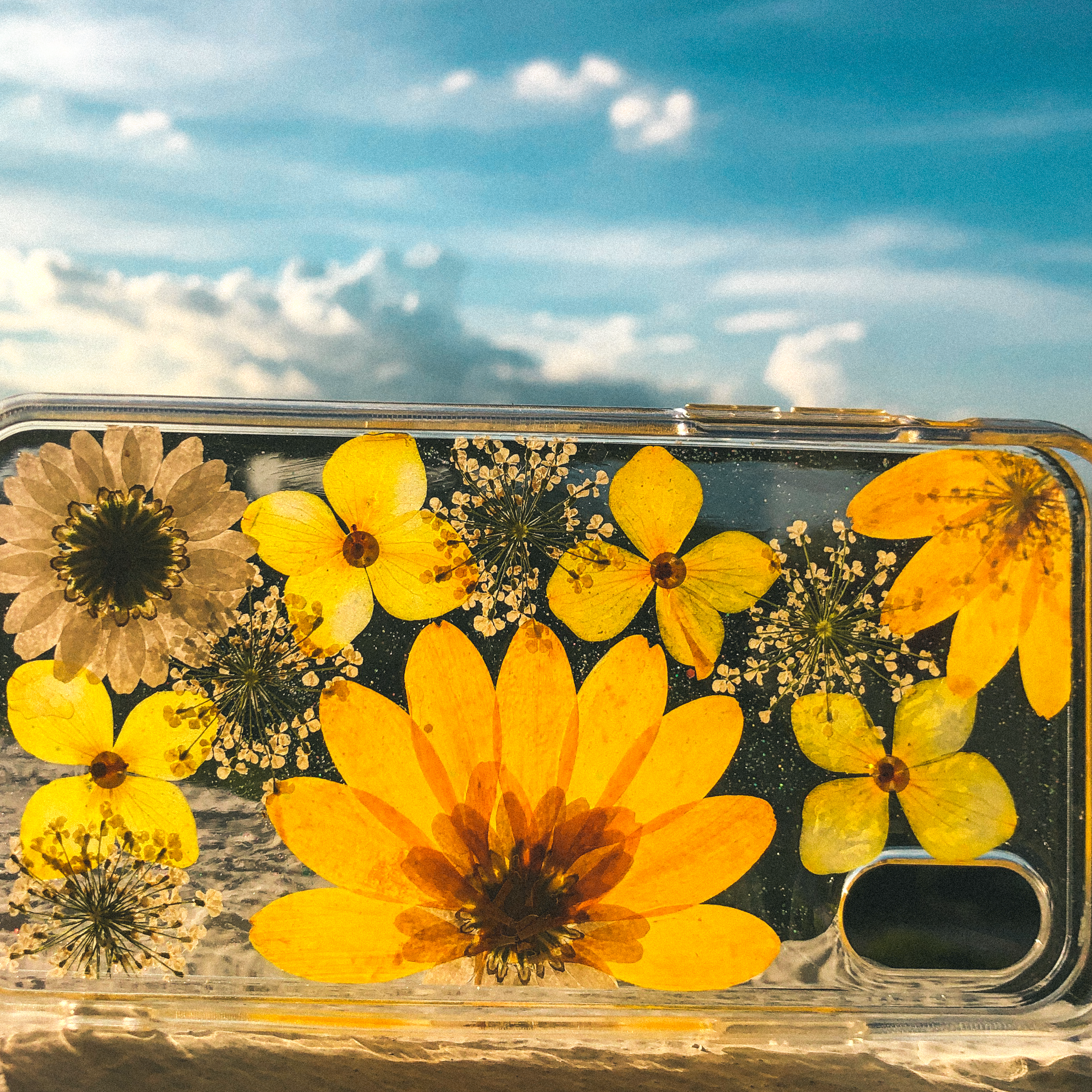Pressed WildFlower Phone Case (iPhone X/XS)  by Veronique