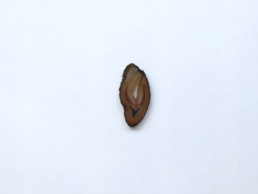 Agate Slice #1 by Vivian Lam