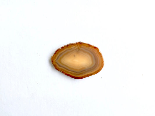 Agate Slice #14 by Vivian Lam