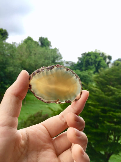 Agate Slice #40 by Vivian Lam