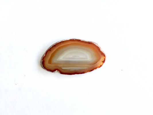 Agate Slice #11 by Vivian Lam