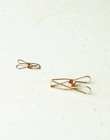Wire Fly Paper Clip