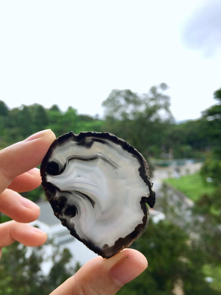 Agate Slice #44  by Vivian Lam