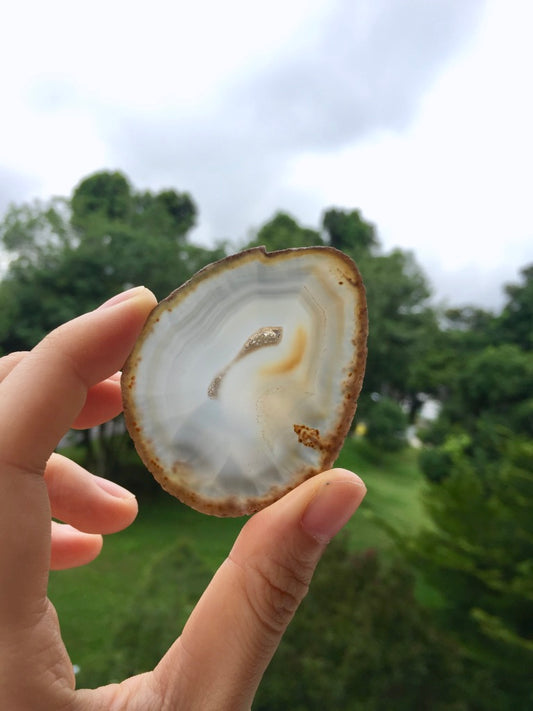Agate Slice #23 by Vivian Lam