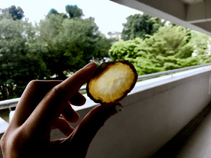 Agate Slice #7 by Vivian Lam