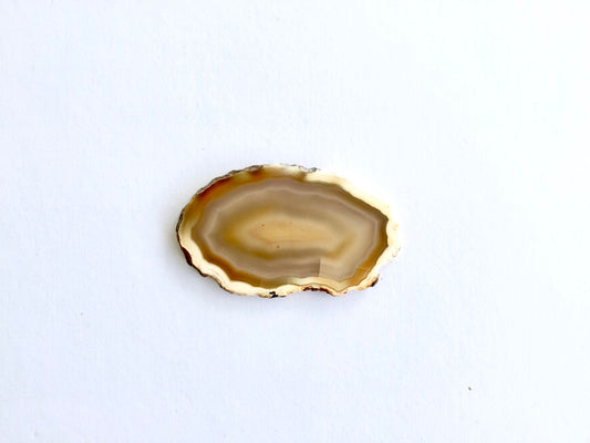 Agate Slice #5 by Vivian Lam