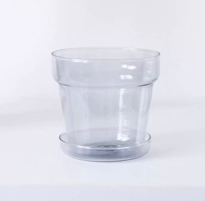 Clear Glass Planter by PROSE Botanical