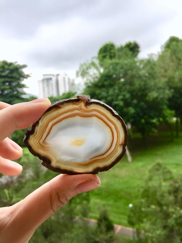 Agate Slice #41  by Vivian Lam