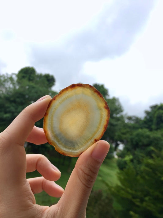 Agate Slice #22 by Vivian Lam